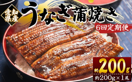 定期便 うなぎ 蒲焼き 約200g １尾 6回 愛知県産 養殖 うなぎ 魚介 国産 海鮮 魚 かばやき 鰻 ウナギ 惣菜 おかず お手軽 加工品 加工食品 冷凍 Wfb-0071 1738788 - 高知県香南市