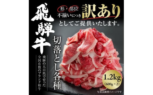 訳あり 飛騨牛 切落とし 600g×2 計1.2kg 冷凍真空パック | 肉 お肉 切り落とし 薄切り すき焼き すきやき 黒毛和牛 和牛 人気 おすすめ 牛肉 ギフト お取り寄せ [MS025]