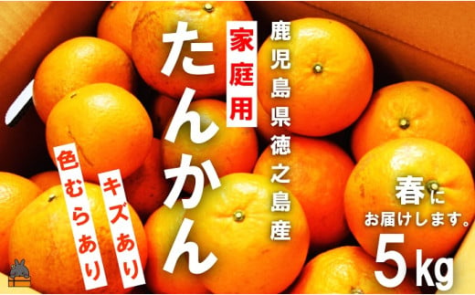 1318 《先行予約》（家庭用）見た目は△！でも味は◎！徳之島産“もぎたて”たんかん（5kg） （ 訳あり 訳有 わけあり ワケ有 タンカン フルーツ みかん 果物 柑橘 甘い 徳之島 奄美 鹿児島 もぎたて フレッシュ 世界自然遺産 フルーツアイランド 先行予約） 604634 - 鹿児島県徳之島町