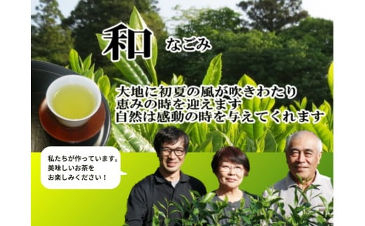 11-16 お茶 茶葉 静岡 煎茶 / おいしい川根茶「和（なごみ）」セット - 静岡県川根本町｜ふるさとチョイス - ふるさと納税サイト