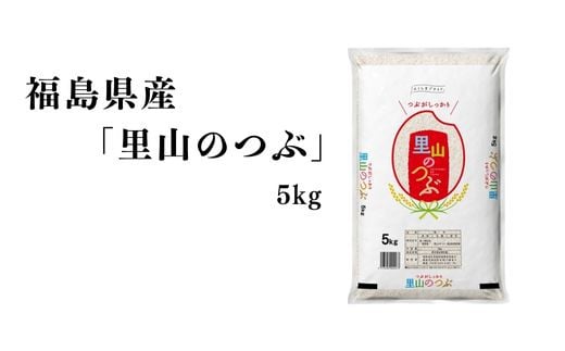 No.3049 【令和6年産】福島県産米「里山のつぶ」精米 5kg  1袋 1860429 - 福島県福島市