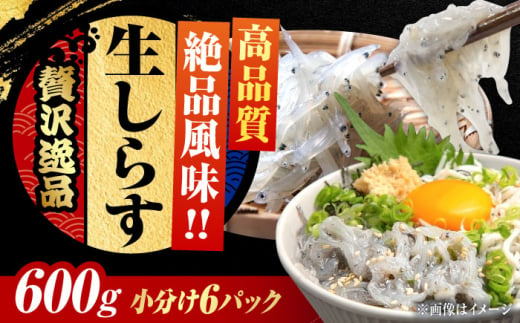 しらす 冷凍 シラス 小分け 干し 生しらすのプリッした食感と塩味が抜群！生しらす100g×6個 冷凍 シラス 鮮魚 ギフト 海鮮丼 広島県産 江田島市/三島水産株式会社 [XCN005] 1745802 - 広島県江田島市