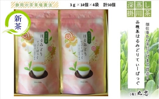 ２１４８　➀新茶･令和7年5月下旬より発送 品種茶 はるみどり てぃーばっぐ ３ｇ×１４個×４袋　計５６個入り ギフト箱入（➀新茶･令和7年5月下旬より発送　②令和6年度産：今すぐ発送 丸忠  （※新茶受付あり） 1745989 - 静岡県掛川市