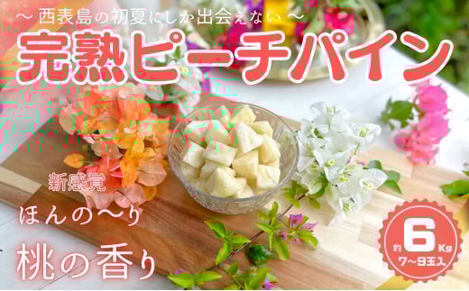 ☆新感覚の味わい☆ 桃のような芳醇な香りのする『西表島産 完熟ピーチパイン』約６kg
