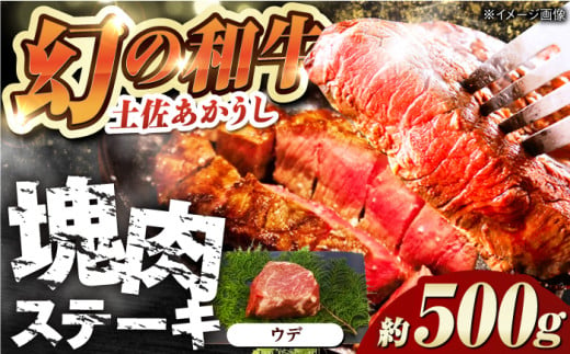 土佐あかうし 塊肉ステーキ 約500g（うで）【株式会社Dorago】 [ATAM047] 1597576 - 高知県高知市