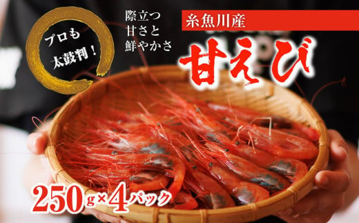 【プロも太鼓判！】糸魚川産『甘エビ』1kg（250g×4ﾊﾟｯｸ）約70尾 際立つ甘さと鮮やかさ 鮮度抜群 日本海直送 新潟 あまえび 甘えび 南蛮エビ お刺身 瞬間 冷凍 新鮮 1745422 - 新潟県糸魚川市