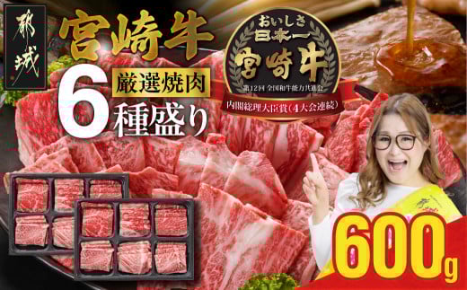 宮崎牛6種盛り焼肉食べ比べ600g_21-N201_(都城市)   牛肉 焼き肉 サーロイン リブ ウデ モモ バラ 肩ロース BBQ バーベキュー ギャル曽根さんおすすめの牛肉返礼品 牛肉 肉