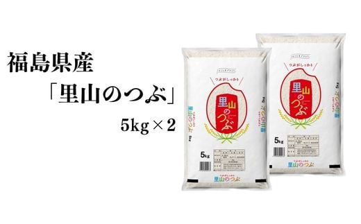 No.3048 【令和6年産】福島県産米「里山のつぶ」精米 5kg  2袋 1860427 - 福島県福島市