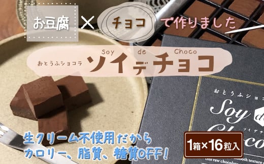 おとうふショコラ ソイ デ チョコ 16粒入×1箱［A0171-09］ 1810093 - 佐賀県佐賀県庁