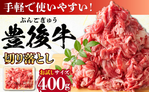 【お試しにピッタリ！】 おおいた豊後牛 牛肉 切り落とし 400g 日田市 / 株式会社MEAT PLUS　肉 牛肉 和牛 [AREI001] 1745872 - 大分県日田市