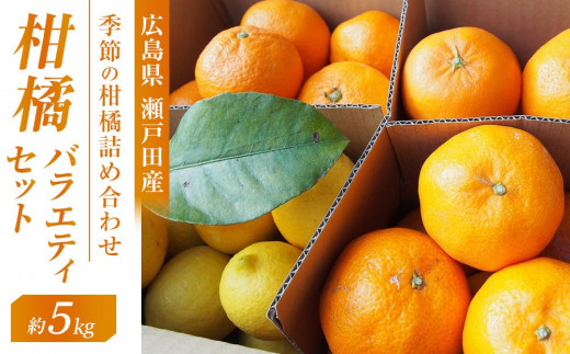 柑橘バラエティセット　5ｋｇ ＜2026年1月下旬より発送開始＞【みかん 瀬戸田 レモン 檸檬  果物 フルーツ 詰め合わせ セット 人気 おすすめ 瀬戸内 広島県  尾道市】 503354 - 広島県尾道市