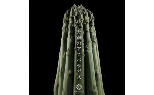 【先行予約】 天空のアスパラガス 「訳あり」1ｋｇ 【２０２５年４～５月頃発送】 1746901 - 栃木県大田原市