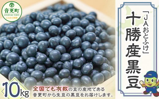 令和6年産 黒豆 10kg「JAおとふけ」【D45】 くろまめ 北海道 1522880 - 北海道音更町