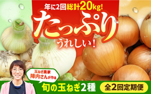 【2回定期便】農家直送 玉ねぎ定期便 10kg/回 【玉葱農家 陣内ちひろ】 [IAO027] 1745426 - 佐賀県白石町