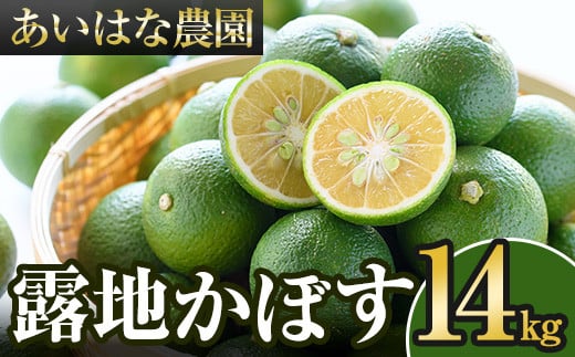 ＜先行予約受付中！2025年8月上旬～2026年2月下旬ごろ順次発送予定＞露地カボス(約14kg)かぼす カボス 柑橘 特産品 大分県産【107100901】【あいはな農園】 1135100 - 大分県宇佐市