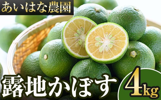 ＜先行予約受付中！2025年8月上旬～2026年2月下旬ごろ順次発送予定＞露地カボス(約4kg)かぼす カボス 柑橘 特産品 大分県産【107100301】【あいはな農園】 308919 - 大分県宇佐市