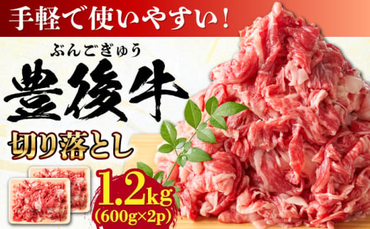 【大容量パック！】 おおいた豊後牛 牛肉 切り落とし 1.2kg (600g×2) 日田市 / 株式会社MEAT PLUS　肉 牛肉 和牛 [AREI004] 1745875 - 大分県日田市