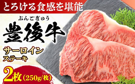 おおいた豊後牛 サーロインステーキ 500g (250g×2枚) 日田市 / 株式会社MEAT PLUS　肉 牛肉 和牛 [AREI007] 1745878 - 大分県日田市