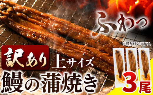 うなぎ 訳あり 鰻の蒲焼 3尾 《30日以内出荷予定(土日祝除く)》│ うなぎ 鰻 鰻の蒲焼き サイズ不揃い 蒲焼 国産 ウナギ 送料無料 徳島県 上板町