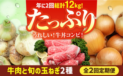 【2回定期便】牛丼コンビ！牛肉と玉ねぎの定期便 [IZZ031]