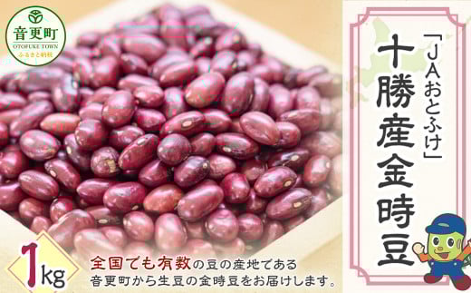 令和6年産 金時豆1kg「JAおとふけ」【B105】 きんときまめ 北海道 1519290 - 北海道音更町