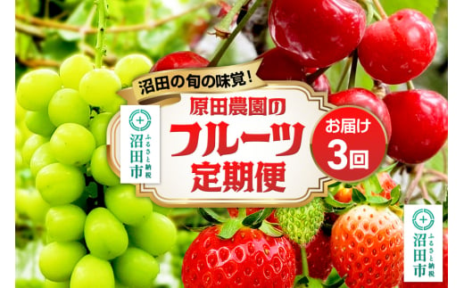 《関西以北限定配送》3回お届け！原田農園のフルーツ定期便 いちご→さくらんぼ→シャインマスカット 1746429 - 群馬県沼田市