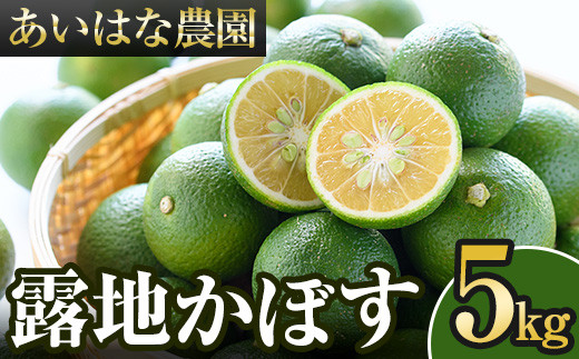 露地カボス(約5kg)かぼす カボス 柑橘 特産品 大分県産【107100400】【あいはな農園】 308920 - 大分県宇佐市