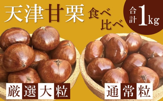 この道50年の職人が焼く、やさしい甘みたっぷりの「厳選大粒と通常サイズ」合計1kg!食べ比べセット 焼きたて 栗 くり 栗爪 殻付き お菓子 おつまみ 人気 高リピート 小分け 栗ご飯 栗きんとん 甘露煮