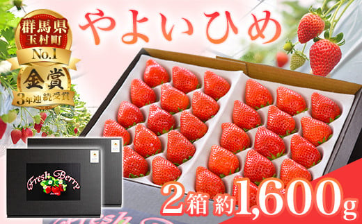 群馬県やよいひめ（いちご）約1.6kg【３年連続金賞受賞！】 1748340 - 群馬県玉村町