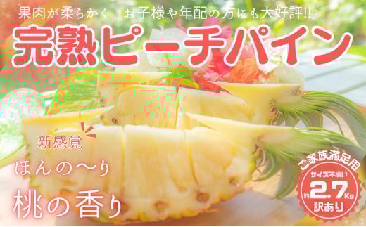 【訳あり】☆新感覚の味わい☆ まるで桃のような甘〜い香り『西表島産 完熟ピーチパイン』約2.7kg 2025年 発送 西表島ナウパカ ご家族満足用 不揃い 果物 フルーツ デザート パイン 訳アリ 希少