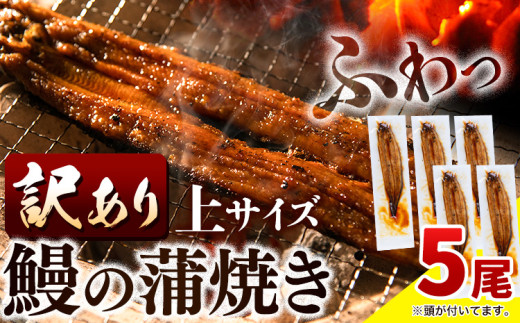 うなぎ 訳あり 鰻の蒲焼 5尾 《30日以内出荷予定(土日祝除く)》│ うなぎ 鰻 鰻の蒲焼き サイズ不揃い 蒲焼 国産 ウナギ 送料無料 徳島県 上板町