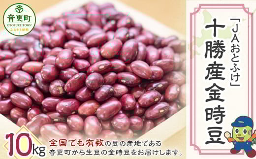 令和6年産 金時豆10kg「JAおとふけ」【D43】 きんときまめ 北海道  1519292 - 北海道音更町