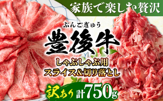 訳あり！おおいた豊後牛 しゃぶしゃぶすき焼き セット（スライス・切り落とし） 750g 日田市 / 株式会社MEAT PLUS　肉 牛肉 和牛 [AREI014] 1745885 - 大分県日田市