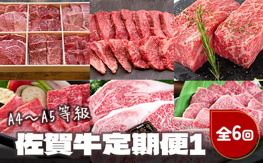 [定期便セット]佐賀牛定期便1 焼肉6種盛・ミニヒレステーキ300g・モモブロック800g・希少部位焼肉セット1kg・サーロイン500g・希少部位イチボとトモサンカクの焼肉セット500g