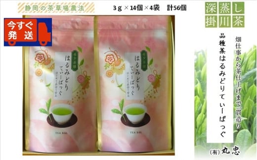 ２１４８　②令和6年度産：今すぐ発送 品種茶 はるみどり てぃーばっぐ ３ｇ×１４個×４袋　計５６個入り ギフト箱入（➀新茶･令和7年5月下旬より発送　②令和6年度産：今すぐ発送 丸忠  （※新茶受付あり） 1746003 - 静岡県掛川市