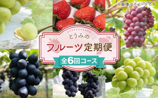 【数量限定・６回定期便】とうみのフルーツ頒布会（とちおとめ、クイーンルージュ®、ナガノパープル、種なし巨峰、シャインマスカット） 1181253 - 長野県東御市