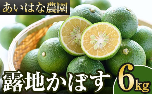 ＜先行予約受付中！2025年8月上旬～2026年2月下旬ごろ順次発送予定＞露地カボス(約6kg)かぼす カボス 柑橘 特産品 大分県産【107100501】【あいはな農園】 308921 - 大分県宇佐市