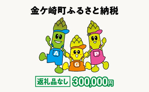 金ケ崎町 ふるさと納税 返礼品なし 【300,000円寄附】 1754599 - 岩手県金ケ崎町