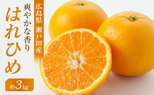 爽やかな香り！！ はれひめ ３ｋｇ　＜2025年12月下旬より発送開始＞【みかん 蜜柑 フルーツ 果物 青果 柑橘 尾道市】 503346 - 広島県尾道市