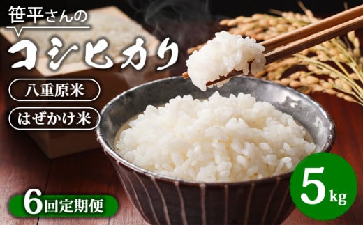 【定期便】【令和6年産】八重原産コシヒカリ 白米【5kg×全6回 合計30kg】｜笹平さんのお米 八重原米 はざかけ はぜかけ 1756262 - 長野県東御市