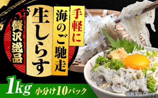 しらす 冷凍 シラス 小分け 干し 生しらすのプリッした食感と塩味が抜群！生しらす100g×10個 冷凍 シラス 鮮魚 ギフト 海鮮丼 広島県産 江田島市/三島水産株式会社 [XCN006] 1745803 - 広島県江田島市