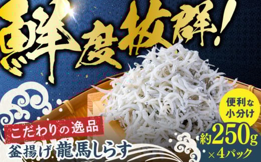 釜揚げ龍馬しらす 約250g×4パック　【株式会社　七和】 [ATAX018] 1696742 - 高知県高知市