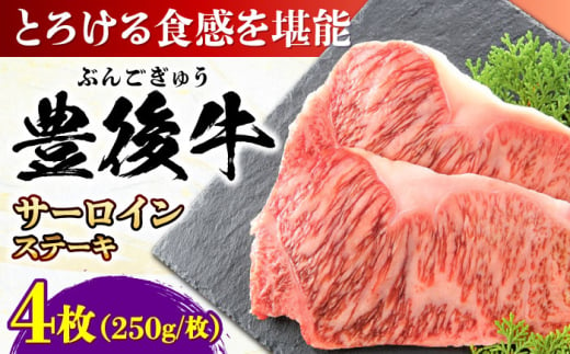 おおいた豊後牛 サーロインステーキ 1kg (250g×4枚) 日田市 / 株式会社MEAT PLUS　肉 牛肉 和牛 [AREI008] 1745879 - 大分県日田市