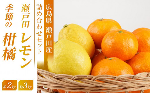 瀬戸田レモン3ｋｇと季節の柑橘2ｋｇ＜2025年11月下旬より発送開始＞【みかん レモン 檸檬  果物 フルーツ 詰め合わせ セット 人気 おすすめ 瀬戸内 広島県  尾道市】 503355 - 広島県尾道市