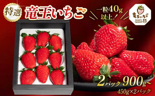 特撰 竜王 いちご 450g 以上 2箱 章姫 紅ほっぺ よつぼし かおり野 みおしずく はるひ すず あまえくぼ おいCベリー 2パック 計 900g 章姫 紅ほっぺ 大粒 苺 旬 産地 直送 フレッシュ イチゴ フルーツ 果物 国産 ベリー 贈答用 プレゼント 2025年1月より順次発送予定 滋賀県 竜王町 人気苺 ふるさと納税苺 ふるさと苺 furusato苺 おすすめ苺 送料無料