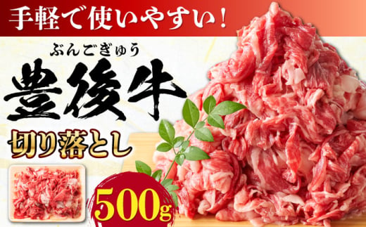 【使いやすい！】 おおいた豊後牛 牛肉 切り落とし 500g 日田市 / 株式会社MEAT PLUS　肉 牛肉 和牛 [AREI002] 1745873 - 大分県日田市