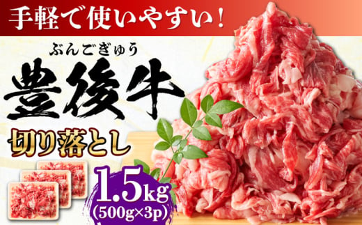 【たっぷりお得！】おおいた豊後牛 牛肉 切り落とし 1.5kg (500g×3) 日田市 / 株式会社MEAT PLUS　肉 牛肉 和牛 [AREI005] 1745876 - 大分県日田市