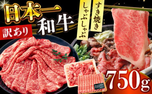 [訳あり][A4〜A5]長崎和牛しゃぶしゃぶすき焼き750gセット[株式会社 MEAT PLUS] [DBS020] 長崎和牛 和牛 しゃぶしゃぶすき焼き しゃぶしゃぶ すき焼き 訳アリ しゃぶしゃぶ用牛肉長崎和牛 和牛 国産 牛肉 しゃぶしゃぶ すき焼き 750g セット 訳アリ 訳あり 15000円以内 11000 円 以上