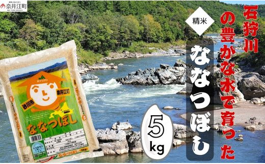 【令和6年産】北海道産『JA新すながわ ななつぼし 5kg』石狩川の豊かな水で育った 単一原料米 米 お米 白米 精米 こめ おこめ ごはん ご飯 送料無料 5kg 北海道 奈井江町 868839 - 北海道奈井江町