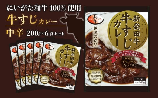 牛すじ カレー 6個 セット 200g×6 中辛 パック 牛肉 肉 和牛 保存食 備蓄 レトルト 新発田市 新潟 新発田牛 厳選和牛 贅沢 牛肉 国産 ご飯 にいがた ブランド牛 備蓄食 保存 贈答 プレゼント おすすめ お取り寄せ 家族  H23_01 